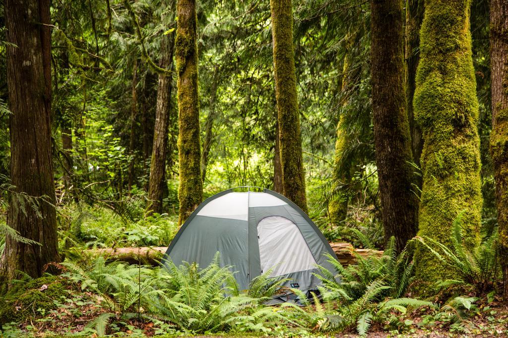 Mount Hood Village Premium Yurt 4 Welches エクステリア 写真