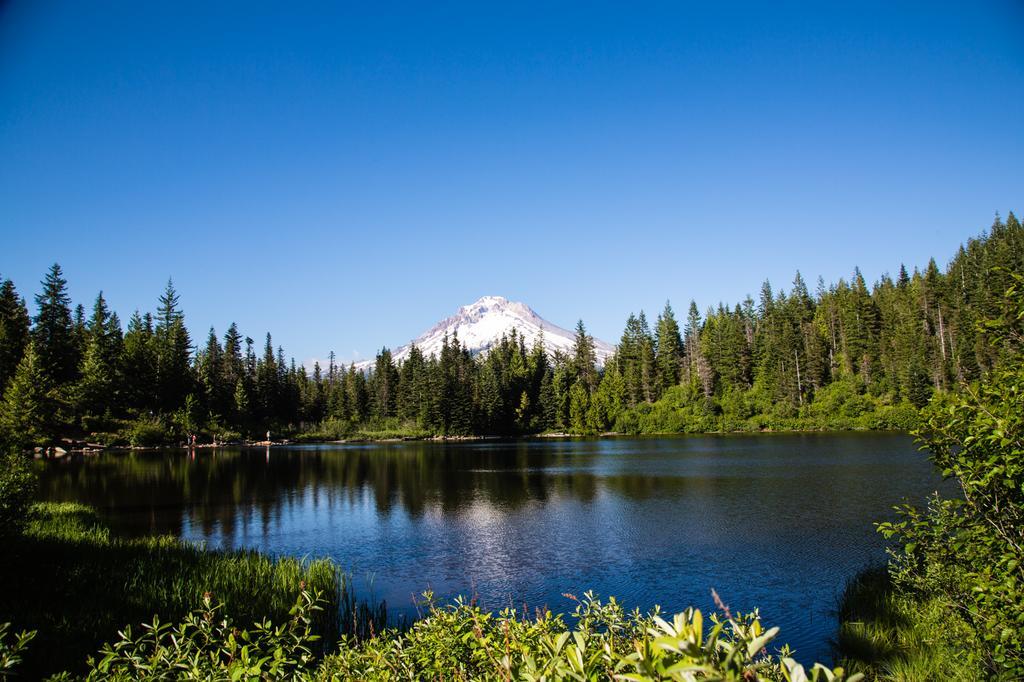 Mount Hood Village Premium Yurt 4 Welches エクステリア 写真